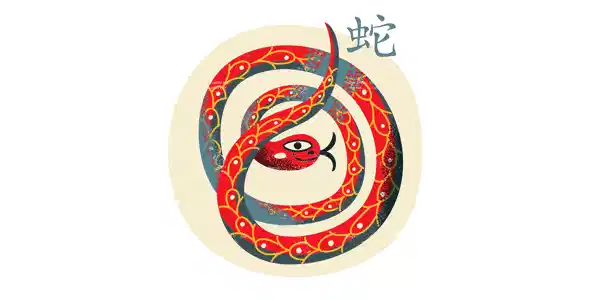 Chinese Zodiac the Snake Chinese Zodiac the Snake